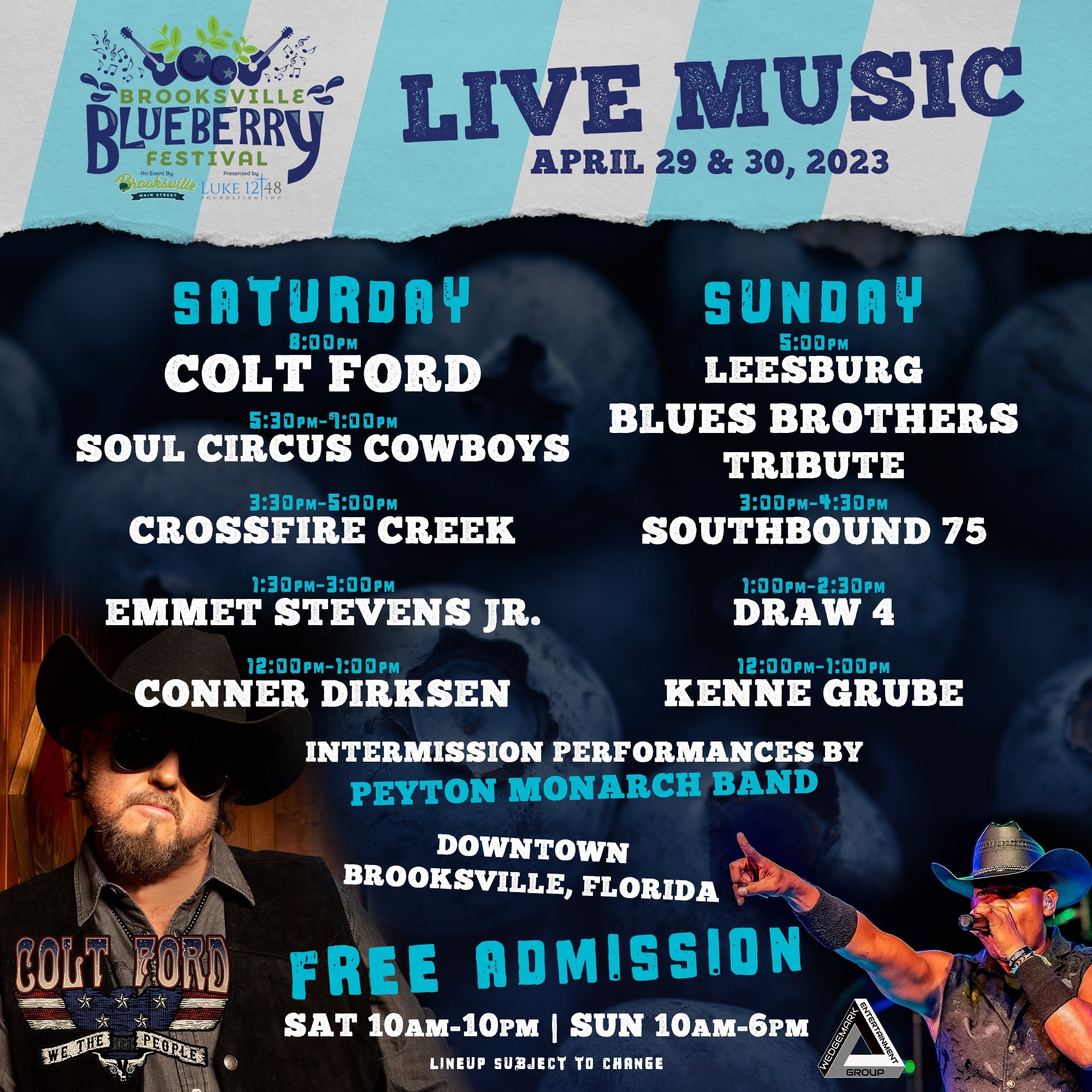 Blueberry Festival - Brooksville