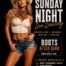 Sunday Night Line Dancing at Renegades - West Palm Beach